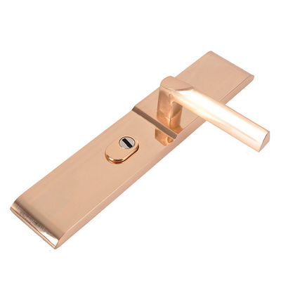 Kirsite Die Casting Precision Injection Moulding Mirror Polishing Door Lock Shell Zubehör
