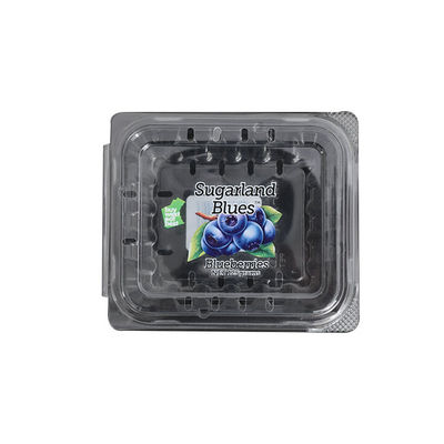 PET Günstige Spritzguss-Spritzguss-Produkte Transparente Lebensmittelverpackungsbox