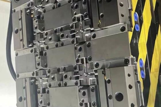 STEP Medizinische Plastik-Injektionsform individuell angepasst